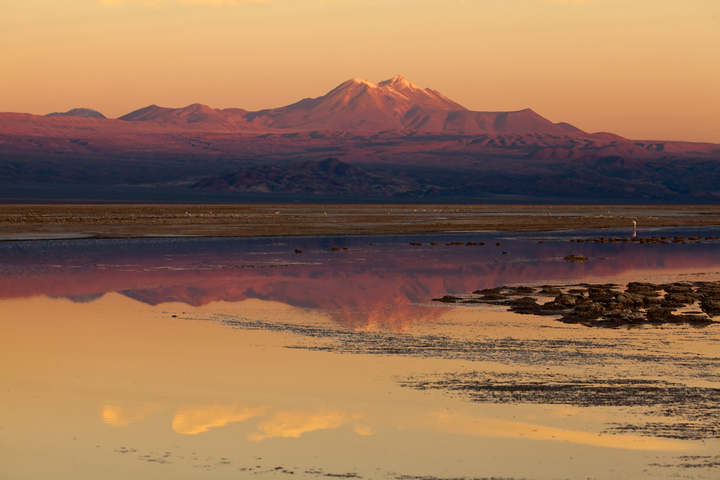 Land 04 Laguna Chaxa Atacamadesert Chile