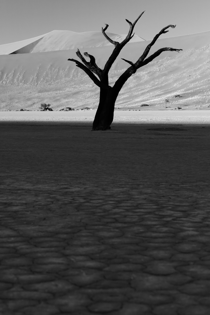 Land 12 Dead Vlei sunrise Namibia